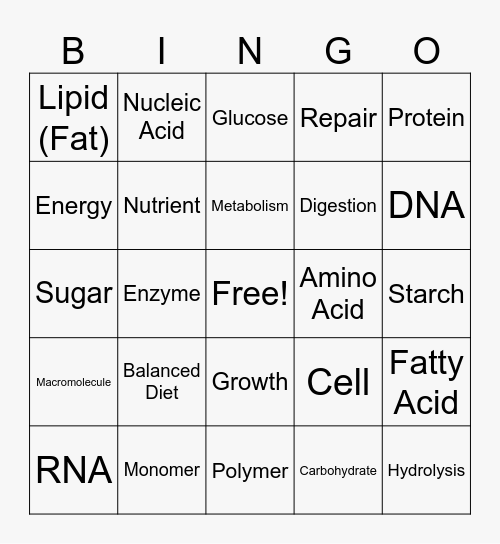 MACROMOLECULES Bingo Card