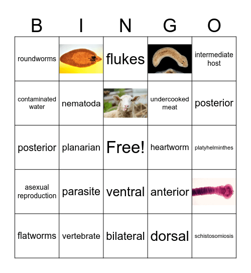 Flatworms and Roundworms Bingo Card