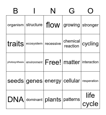 Matter and Energy in Orgaisms Bingo Card