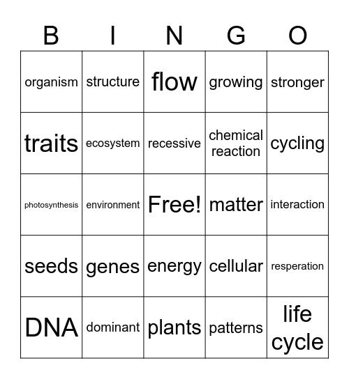 Matter and Energy in Orgaisms Bingo Card