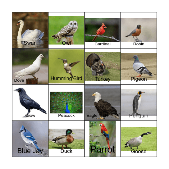 Bird Bingo Card