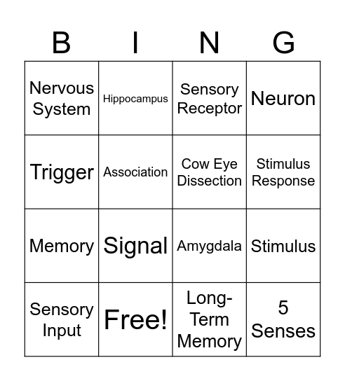 Senses and Memory Bingo Card