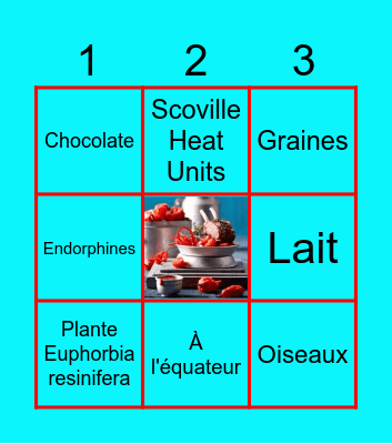 Chili Bingo Card