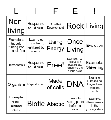 Characteristics of Life Bingo Card