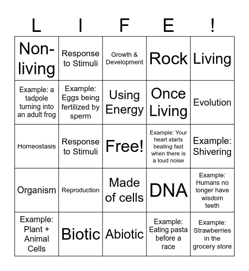 Characteristics of Life Bingo Card