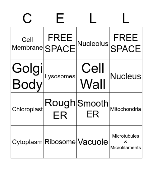 Cell Organelles Bingo Card