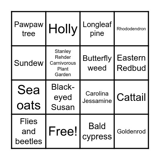 Native NC Plant BINGO Card