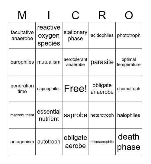 BIOL312 Chapter 6 Bingo Card