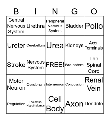 Regulation Bingo Card