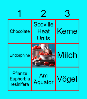 Chili Bingo Card