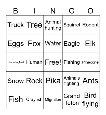 Grand Teton National Geographic Bingo Card