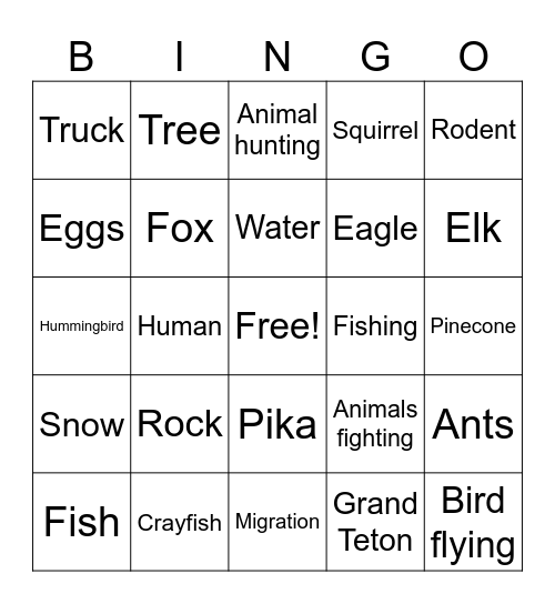 Grand Teton National Geographic Bingo Card