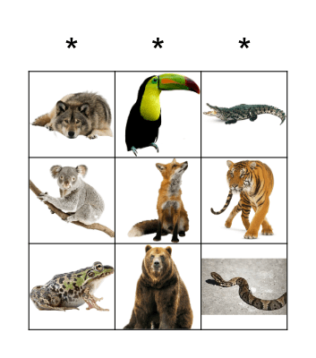 Jungle Animals Bingo Card