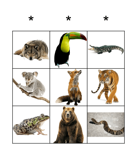 Jungle Animals Bingo Card
