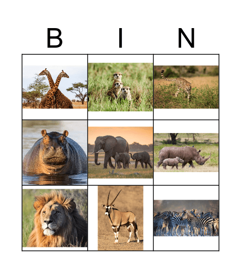 Savannah Animals Bingo Card