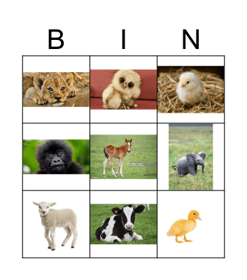 BABY ANIMALS Bingo Card
