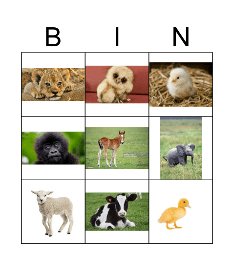 BABY ANIMALS Bingo Card