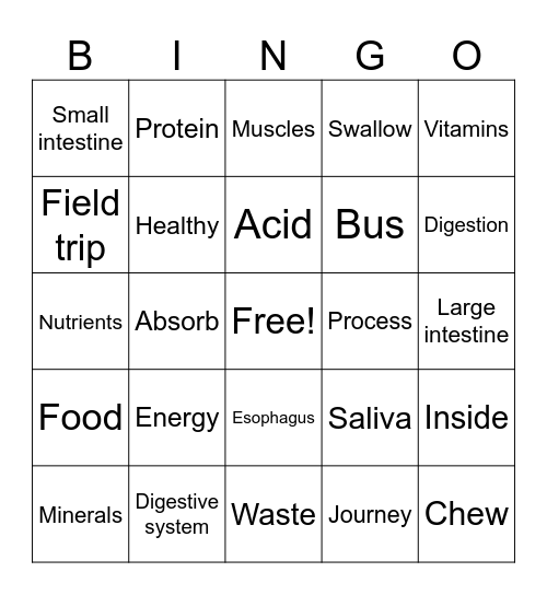 Digestive System BINGO Card