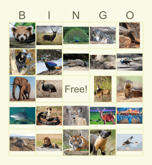 Wildlife Bingo! Bingo Card