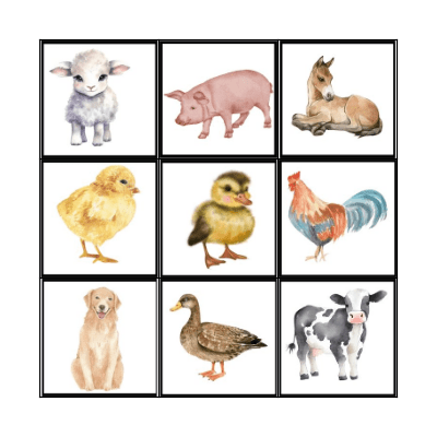 BINGO ZVÍŘÁTKA Bingo Card