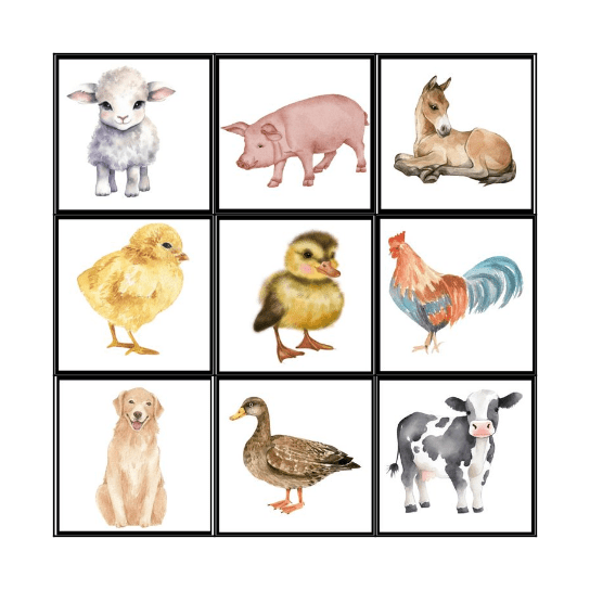 BINGO ZVÍŘÁTKA Bingo Card