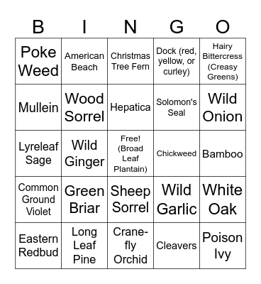 WFW Plant ID Bingo Card