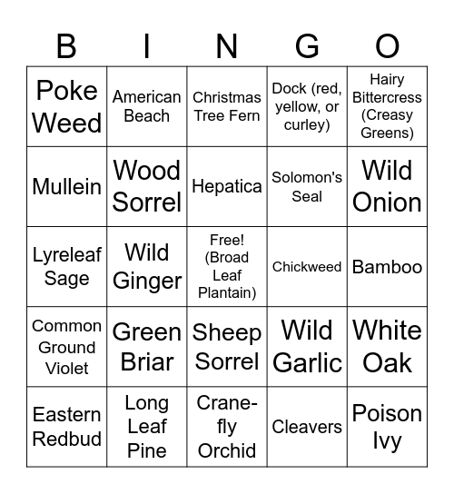 WFW Plant ID Bingo Card