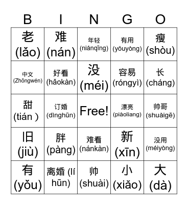 Opposites and Physical Descriptions Bingo Card