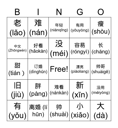 Opposites and Physical Descriptions Bingo Card