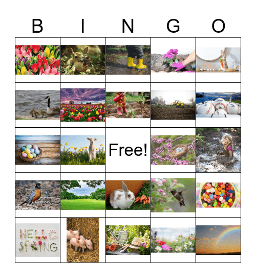 Spring Bingo Card
