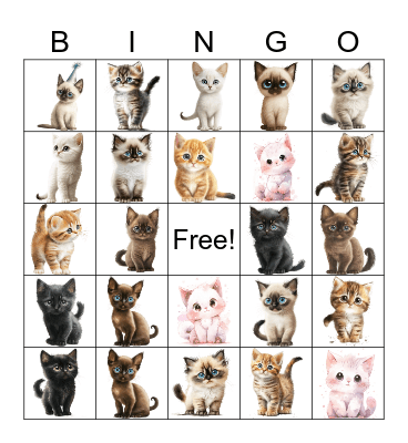 Cats Bingo Card