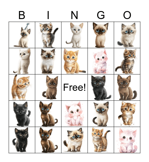 Cats Bingo Card