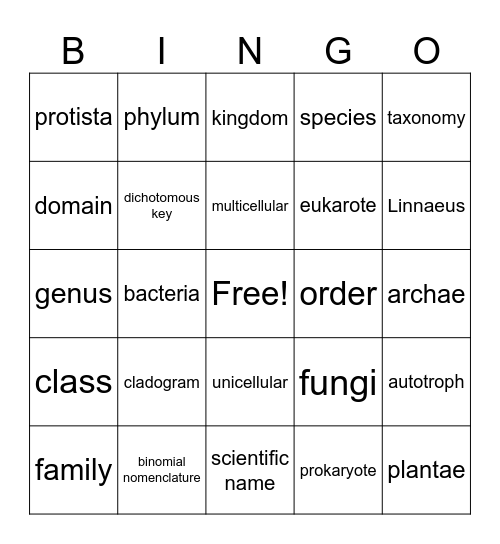 Classification Bingo Card