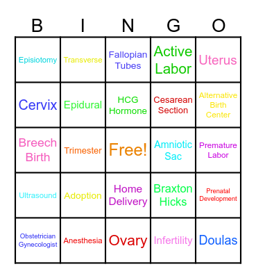 Unit 3 BINGO Card