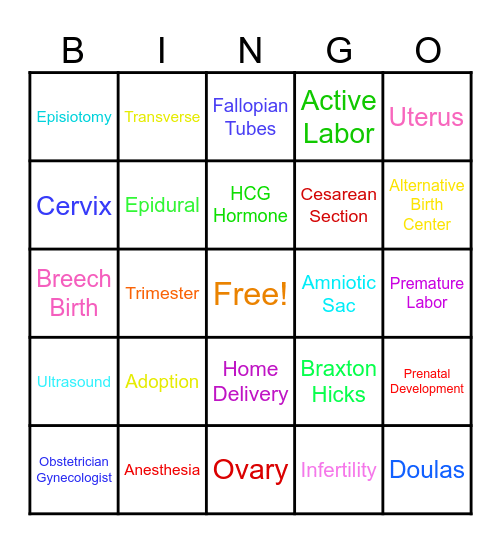 Unit 3 BINGO Card