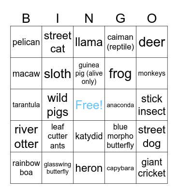Peru Wildlife Bingo Card