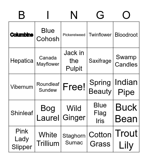 Native Plant Bingo Bo Bingo Card