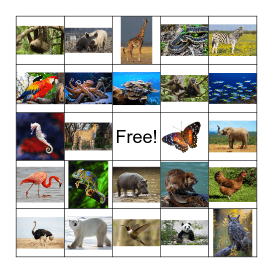 ANIMALS! Bingo Card