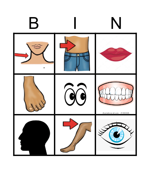 BODY PARTS Bingo Card