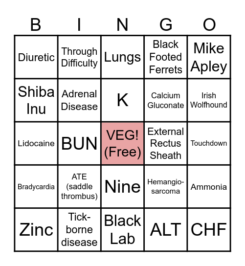 VEG Bingo Card