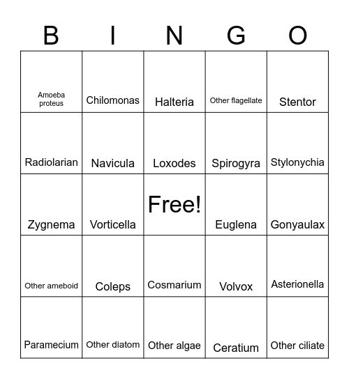 Protist Bingo Card