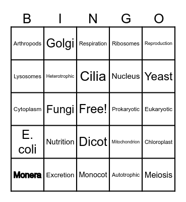 Vocabulary Bingo Card
