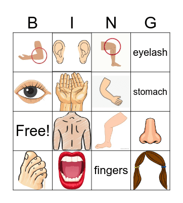 Body Parts Bingo Card