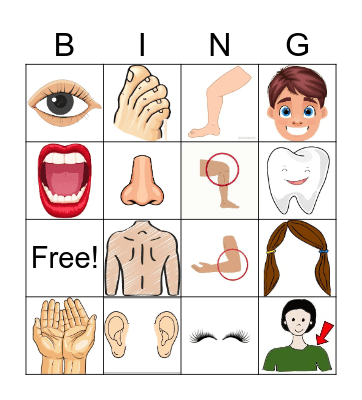 Parts of the Body Bingo Card
