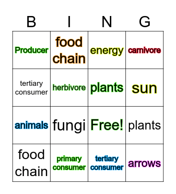 Food Chain Vocabulary Bingo Card