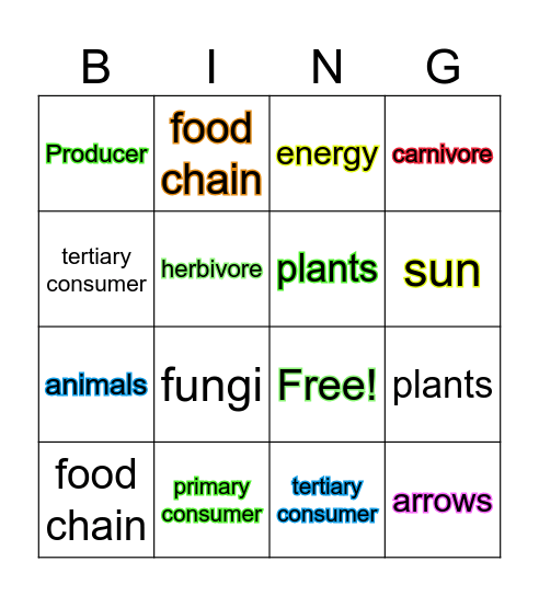 Food Chain Vocabulary Bingo Card