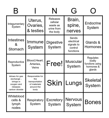 Body Systems Bingo Card