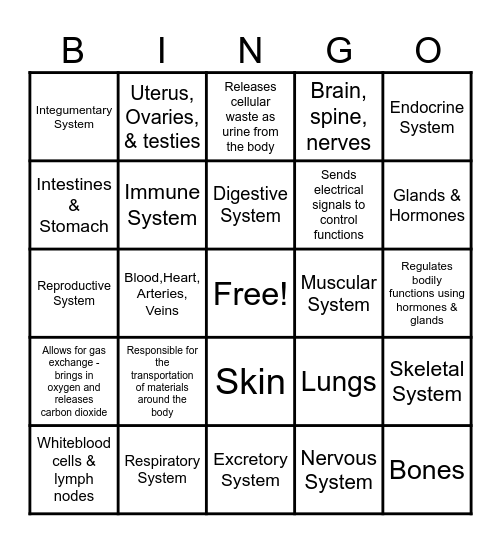 Body Systems Bingo Card