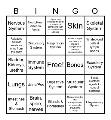 Body Systems Bingo Card