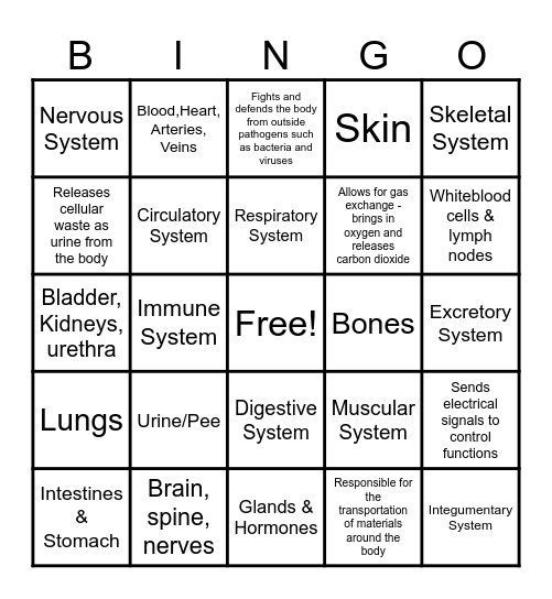 Body Systems Bingo Card